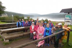 Obrázek galerie  4460