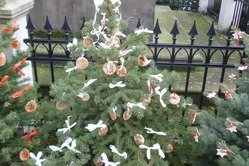 Zdobení vánočního stromku