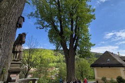 Obrázek galerie  15097