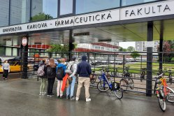 Obrázek galerie  15181