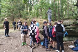 Obrázek galerie  15728