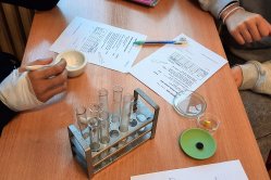 Obrázek galerie  15874