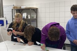 Obrázek galerie  15937