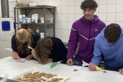 Obrázek galerie  15938