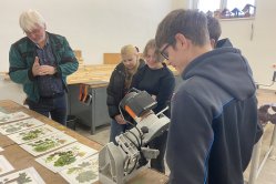 Obrázek galerie  15956