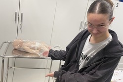 Obrázek galerie  15974