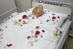 Obrázek galerie  15976