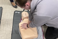 Obrázek galerie  15982