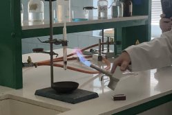 Obrázek galerie  15985