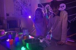 Obrázek galerie  16119