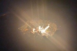 Obrázek galerie  16131