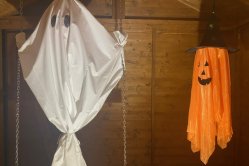 Obrázek galerie  16132