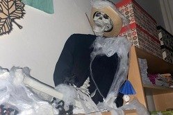 Obrázek galerie  16138