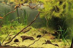 Obrázek galerie  16179