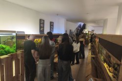 Obrázek galerie  16180