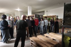 Obrázek galerie  16181