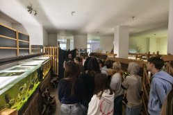 Deváťáci v akváriu