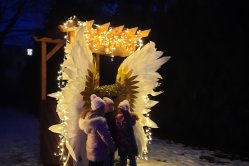 Obrázek galerie  16230