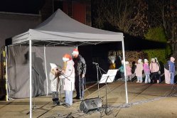 Obrázek galerie  16238