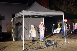 Obrázek galerie  16239