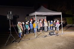 Obrázek galerie  16241