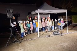 Obrázek galerie  16242