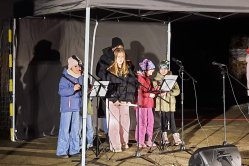 Obrázek galerie  16244