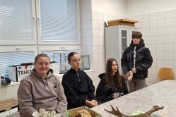 Obrázek galerie  16286