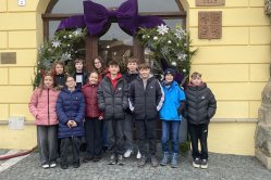 Obrázek galerie  16308