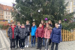 Obrázek galerie  16310