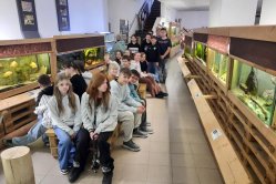 Obrázek galerie  16340