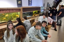 Obrázek galerie  16341