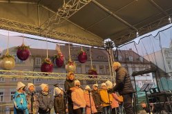 Obrázek galerie  16389