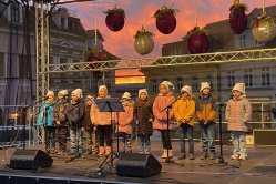 Obrázek galerie  16392