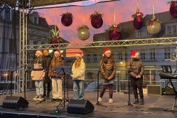 Obrázek galerie  16394