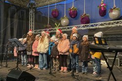 Obrázek galerie  16406