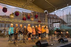 Obrázek galerie  16391