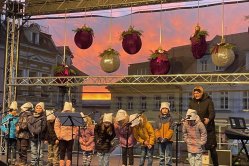 Obrázek galerie  16393