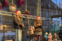 Obrázek galerie  16397