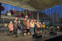 Obrázek galerie  16402