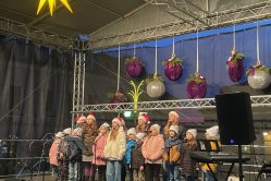 Obrázek galerie  16405