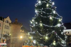 Zpívání u vánočního stromu