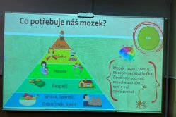 Obrázek galerie  16408