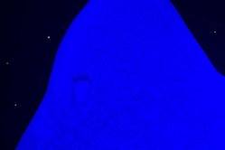 Obrázek galerie  16431