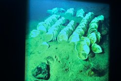 Obrázek galerie  16435