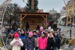 Obrázek galerie  16453