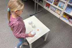 Obrázek galerie  16451