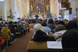 Obrázek galerie  16462