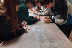 Obrázek galerie  16468