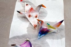 Obrázek galerie  16471